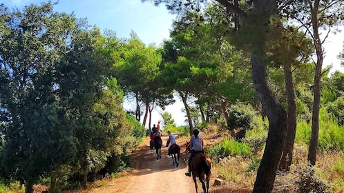 Sedini : randonnées à cheval dans la région de Castelsardo