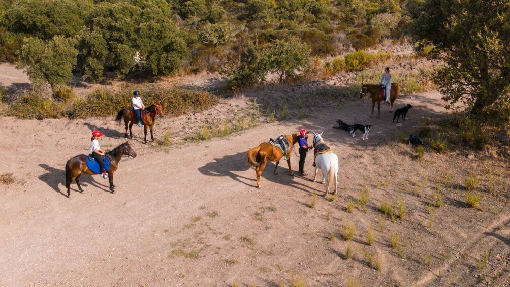 Picture 3 for Activity Sedini: horseback riding in Castelsardo area