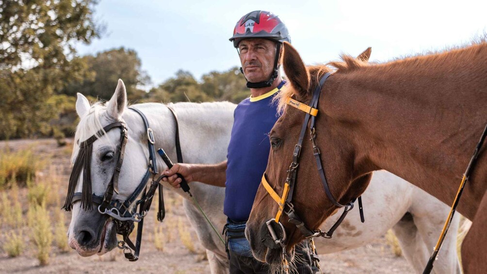 Picture 2 for Activity Sedini: horseback riding in Castelsardo area