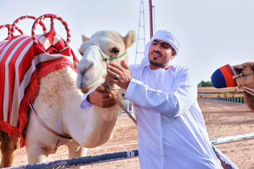 Picture 4 for Activity Dubai Royal Camel Race with Prime Seats & Short Camel Ride