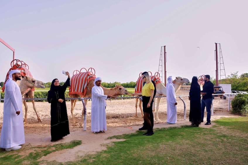 Picture 2 for Activity Dubai Royal Camel Race with Prime Seats & Short Camel Ride