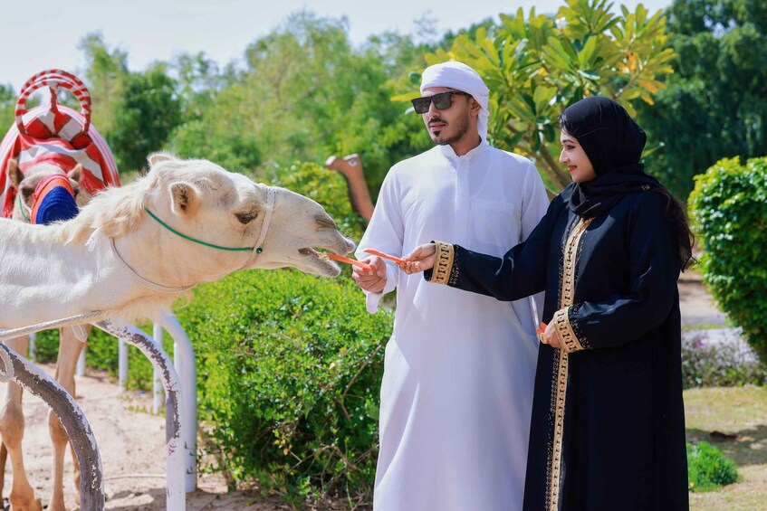 Picture 3 for Activity Dubai Royal Camel Race with Prime Seats & Short Camel Ride