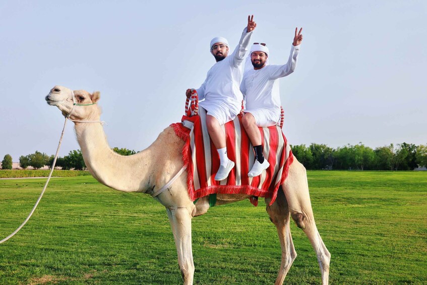 Picture 6 for Activity Dubai Royal Camel Race with Prime Seats & Short Camel Ride