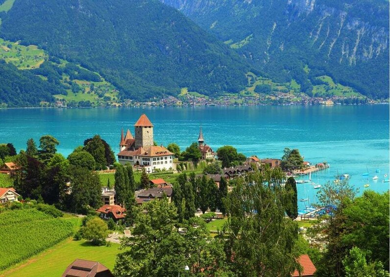 Picture 3 for Activity From Lucerne: Private Day Tour to Interlaken and Grindelwald