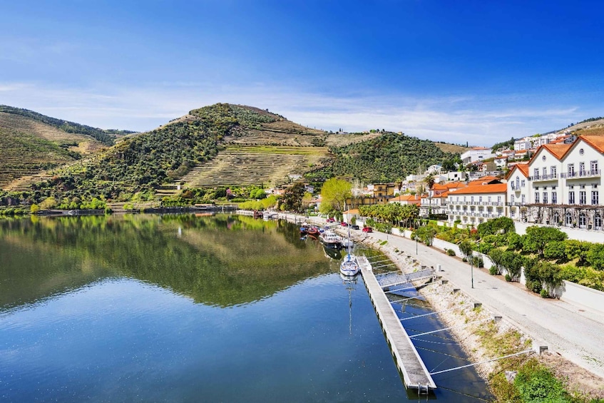 Picture 12 for Activity From Porto: Private Douro Valley Tour with Booking Service