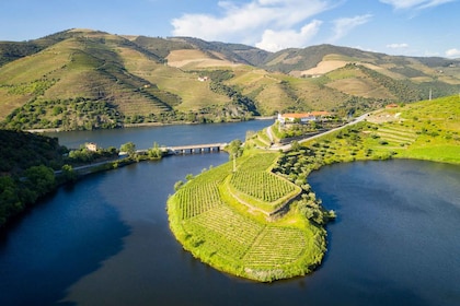 Portosta: Porto: Yksityinen Douro Valleyn kiertoajelu varauspalvelun kanssa