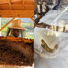 Chianti: Wine and Honey tasting Half-day experience