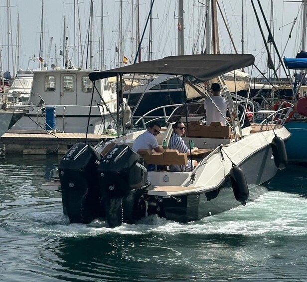 Picture 2 for Activity Palermo: boat tour with drinks and fresh fruit on board