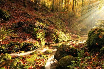 Pizzo: Scolacium Archaeology Park & Serre Natural Park Tour