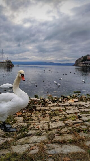 Picture 4 for Activity Ohrid - Walking tour