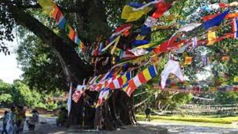 Picture 6 for Activity Lumbini Full day tour with Guide