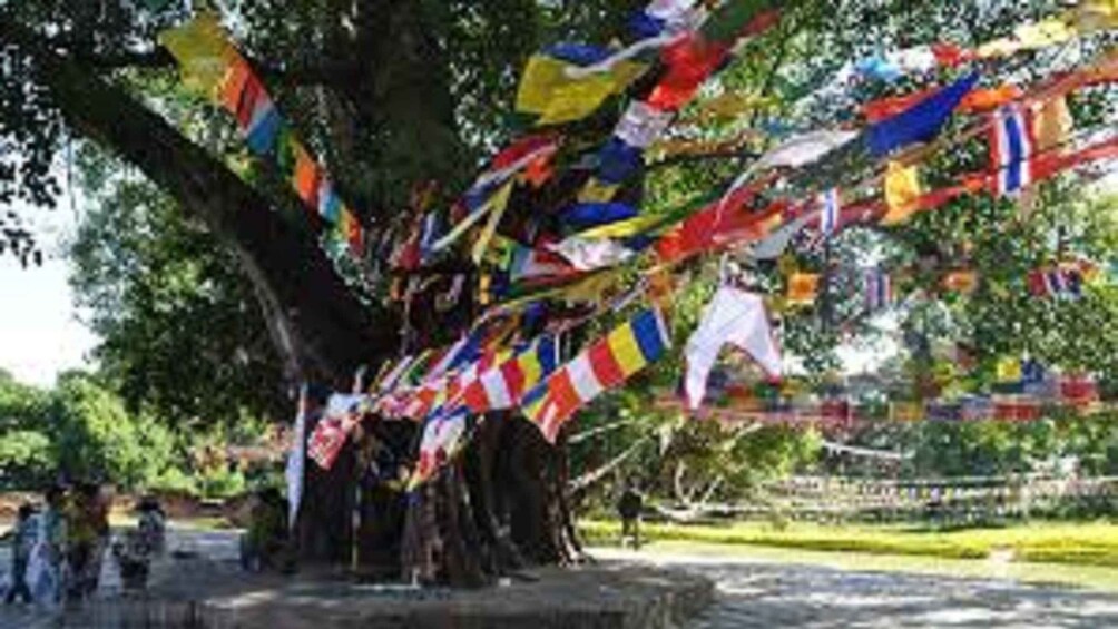 Picture 6 for Activity Lumbini Full day tour with Guide