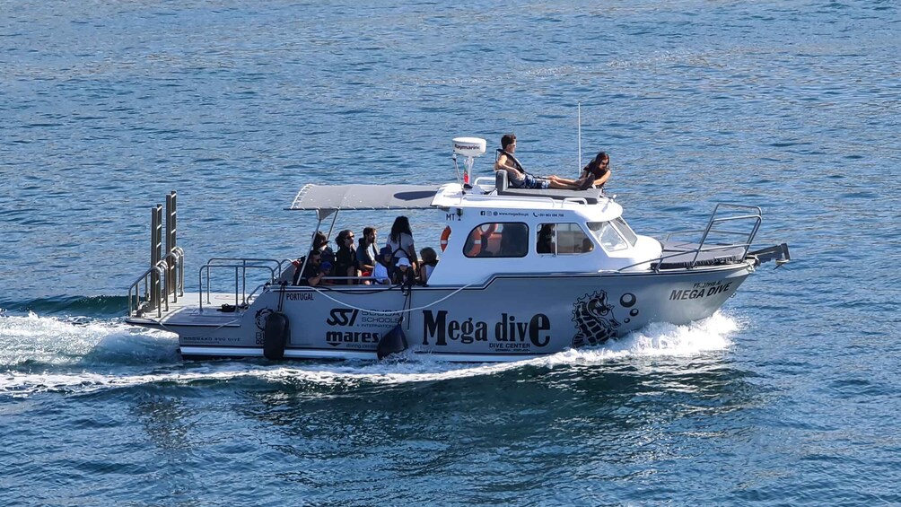 Picture 1 for Activity Sesimbra: Guided Dolphin Watching in Arrábida Natural Park