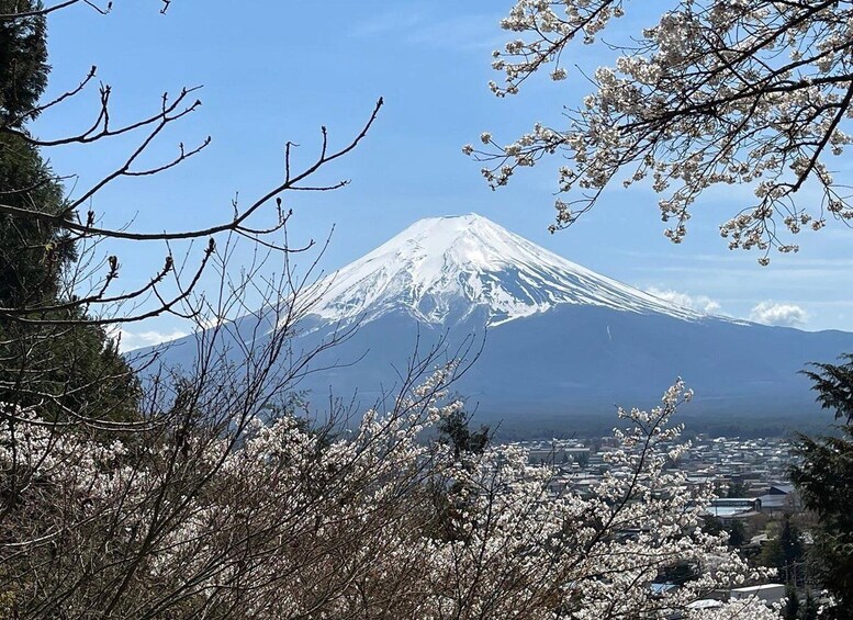 Picture 20 for Activity View of Mt. Fuji, Chureito Pagoda and Hakone Cruise Day Trip