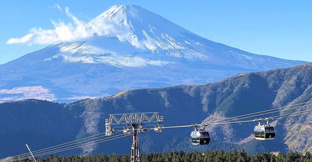 Picture 7 for Activity View of Mt. Fuji, Chureito Pagoda and Hakone Cruise Day Trip