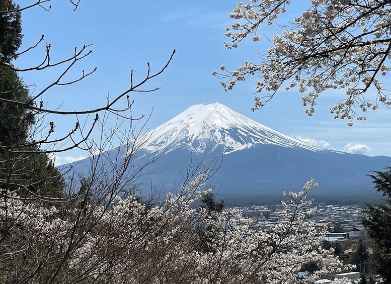 Picture 20 for Activity View of Mt. Fuji, Chureito Pagoda and Hakone Cruise Day Trip