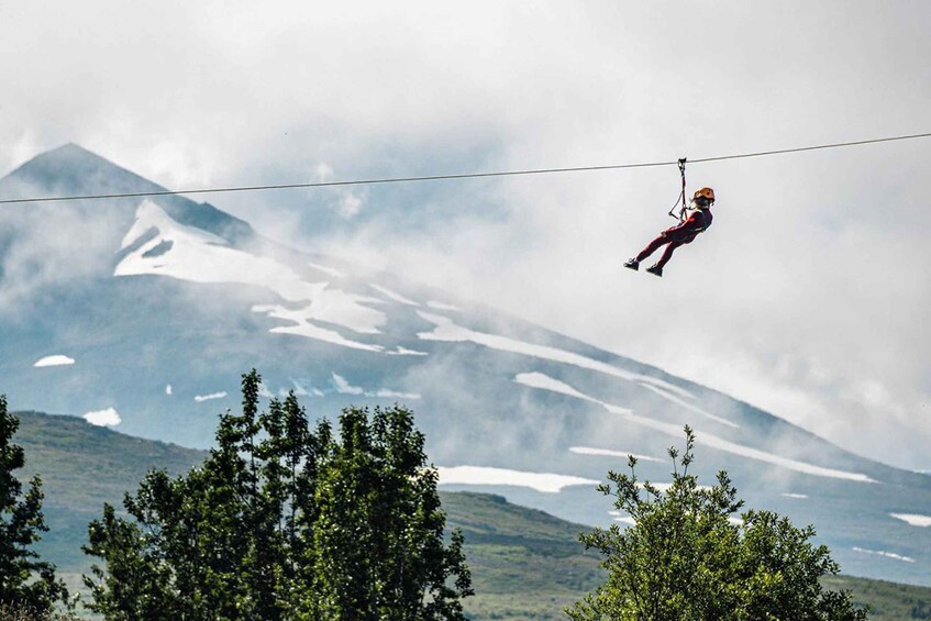 Picture 3 for Activity Akureyri: Zipline Tour