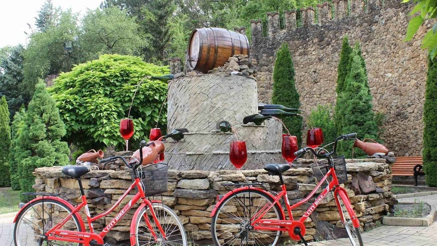 Picture 5 for Activity from Moldova: Manuc Bei mansion -Milesti Mici wine cellar