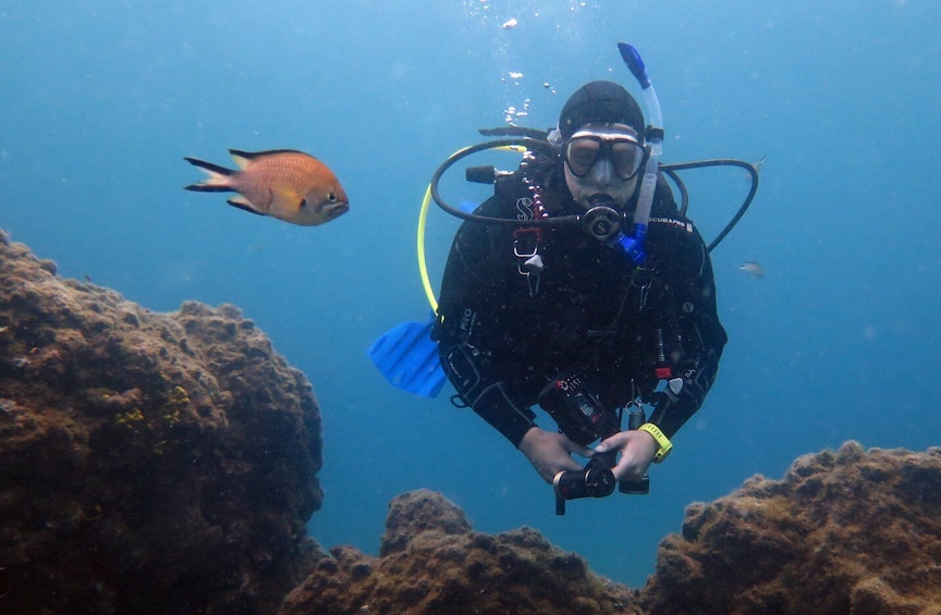 Picture 3 for Activity Puerto del Carmen: 2 Guided Scuba Dives (certified only)