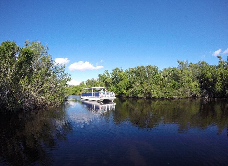 Picture 1 for Activity Flamingo Marina: Backcountry Boat Tour of the Everglades