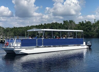 Flamingo Marina: Backcountry Boat Tour of the Everglades