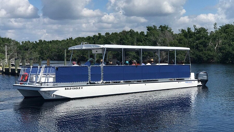 Flamingo Marina: Backcountry Boat Tour of the Everglades