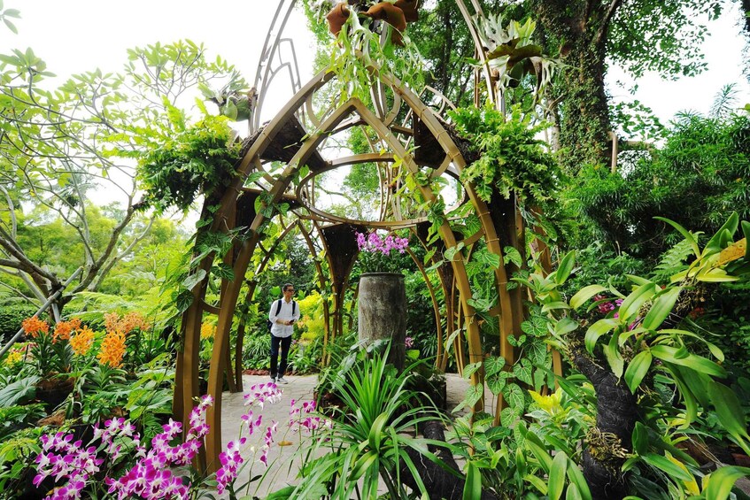 Picture 3 for Activity Singapore: National Orchid Garden Entry Tickets