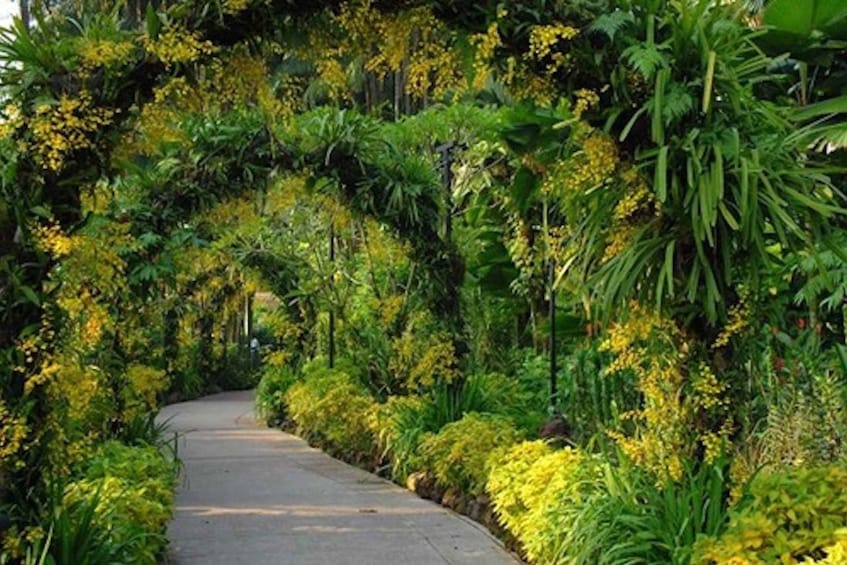 Picture 4 for Activity Singapore: National Orchid Garden Entry Tickets