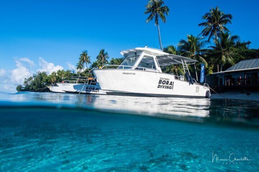 Bora Bora private combo snorkeling motu lunch scuba diving