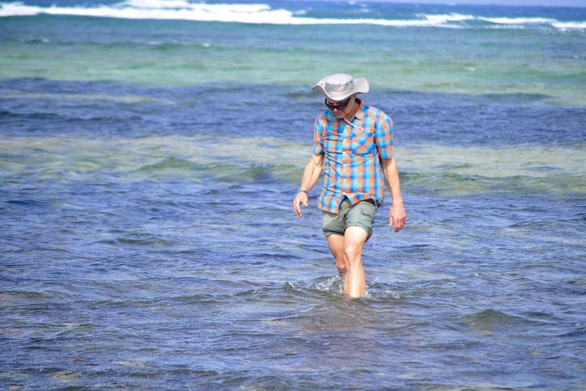 Picture 15 for Activity Santa Maria: Salt Mine, Natural Pool, and Shark Bay Tour