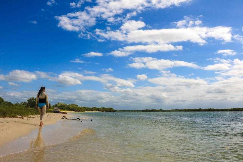 Picture 2 for Activity Rio Lagartos: River Boat Tour with Natural Mayan Bath