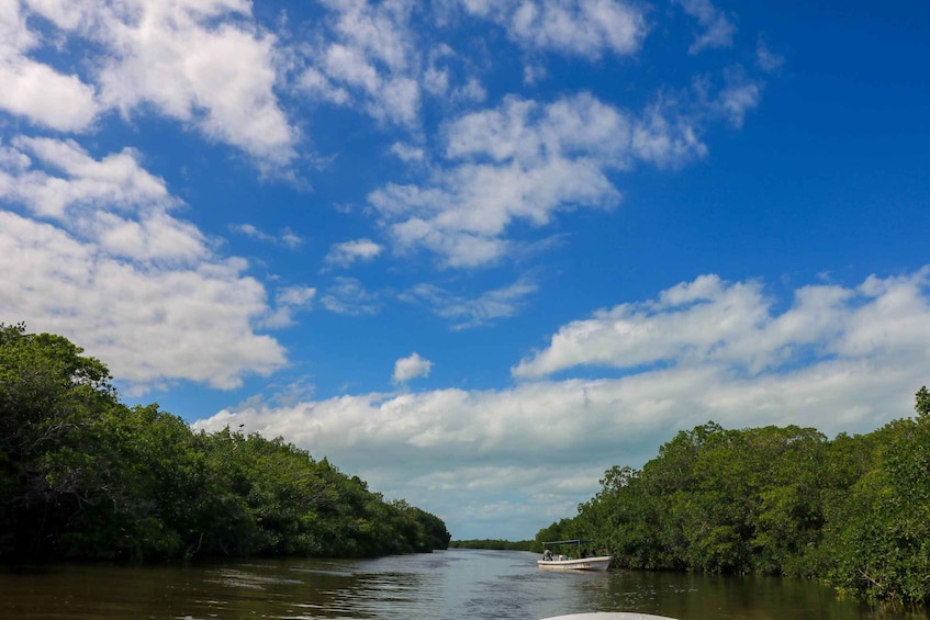 Picture 3 for Activity Rio Lagartos: River Boat Tour with Natural Mayan Bath