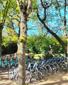 Monteux: Bike Rental