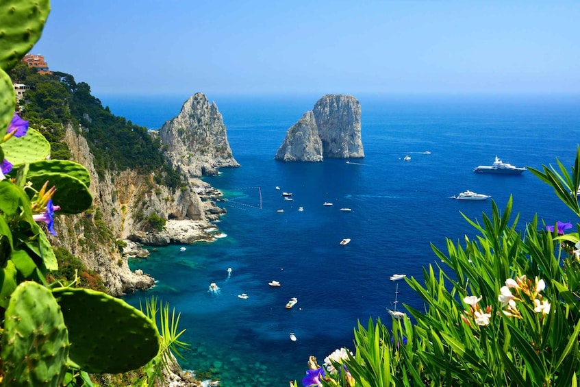 Picture 2 for Activity From Naples: Guided Capri Island Day Trip