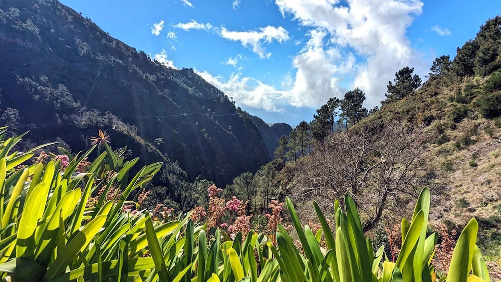 Picture 1 for Activity Mountain Wonders in 4h: Nuns Valley + Eira do Serrado