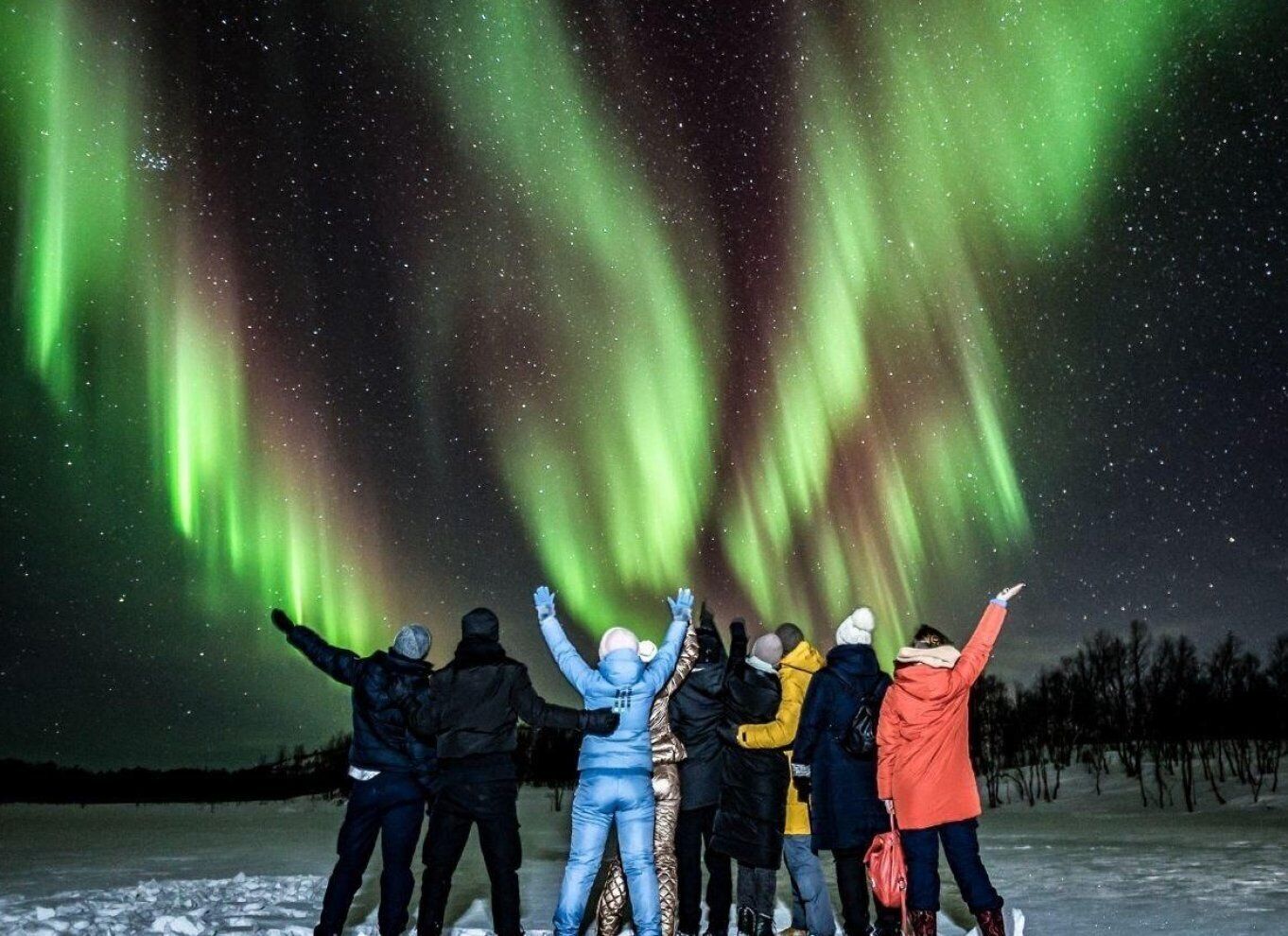 Rovaniemi: BBQ Picnic Experience under Northern Lights