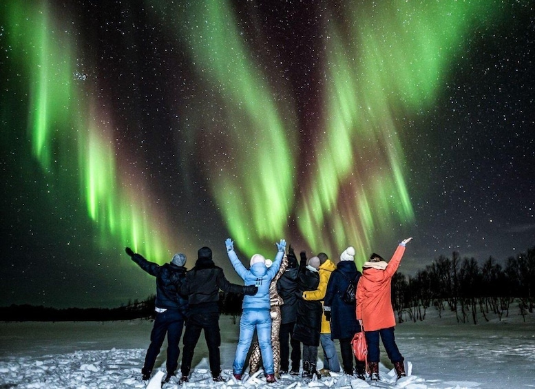 Picture 3 for Activity Rovaniemi: BBQ Picnic Experience under Northern Lights