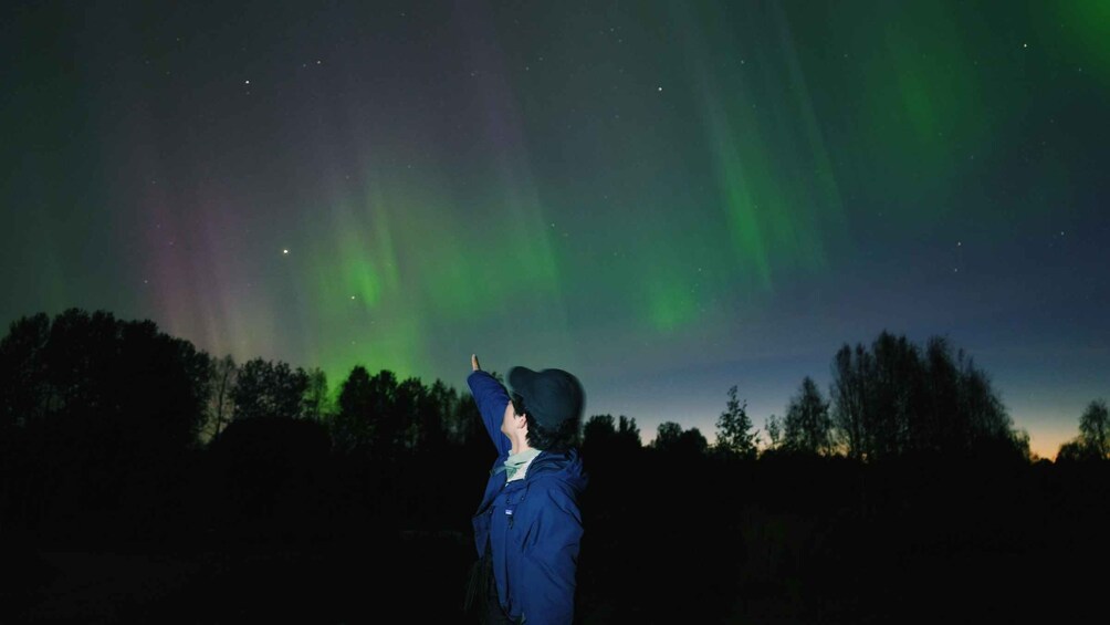 Rovaniemi: BBQ Picnic Experience under Northern Lights