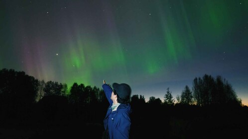 Rovaniemi: BBQ Picnic Experience under Northern Lights