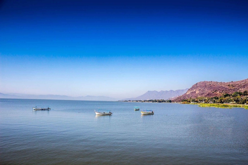 Picture 1 for Activity "Chapala and Ajijic: Private and Charming Walk"