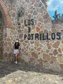 Privado: Rancho Vicente Fdez, Ajijic, Chapala og Tlaquepaque