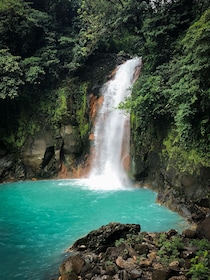 Rio Celeste, explore the rainforest and great waterfall