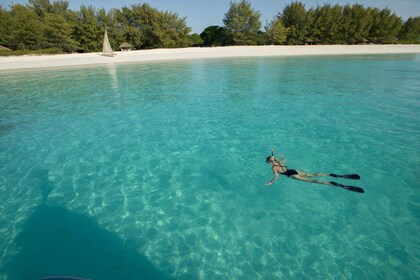 Safari Blue heldagstur (paradis)