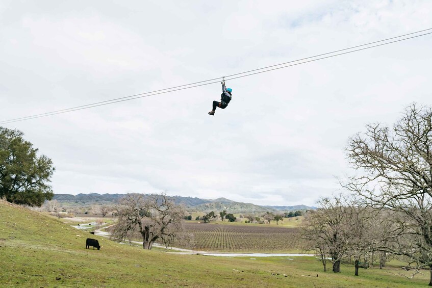 Picture 15 for Activity Santa Margarita: Margarita Adventure Wine Tasting & Zipline