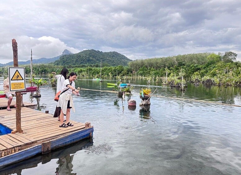 Picture 10 for Activity Krabi: Klong Root Kayaking Viewpoint,Fish Feeding and more