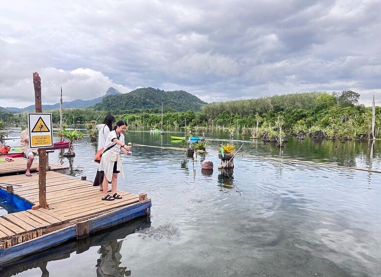 Picture 10 for Activity Krabi: Klong Root Kayaking Viewpoint,Fish Feeding and more