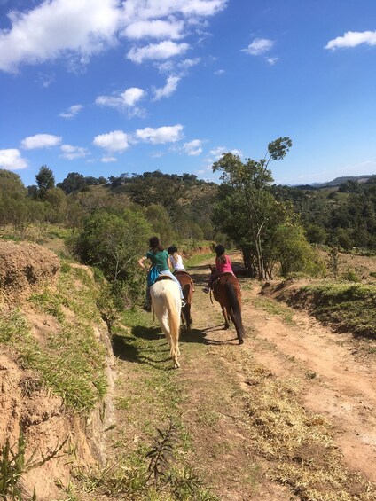 Picture 13 for Activity From Paraty: Private Horse-Riding Experience, Picnic, Driver