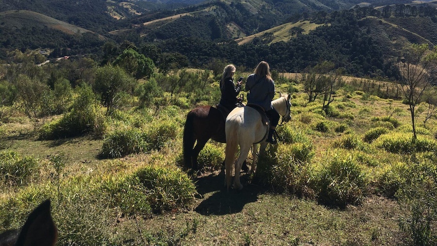 From Paraty: Private Horse-Riding Experience, Picnic, Driver