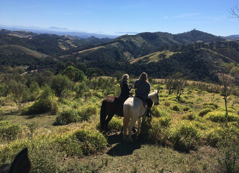 From Paraty: Private Horse-Riding Experience, Picnic, Driver