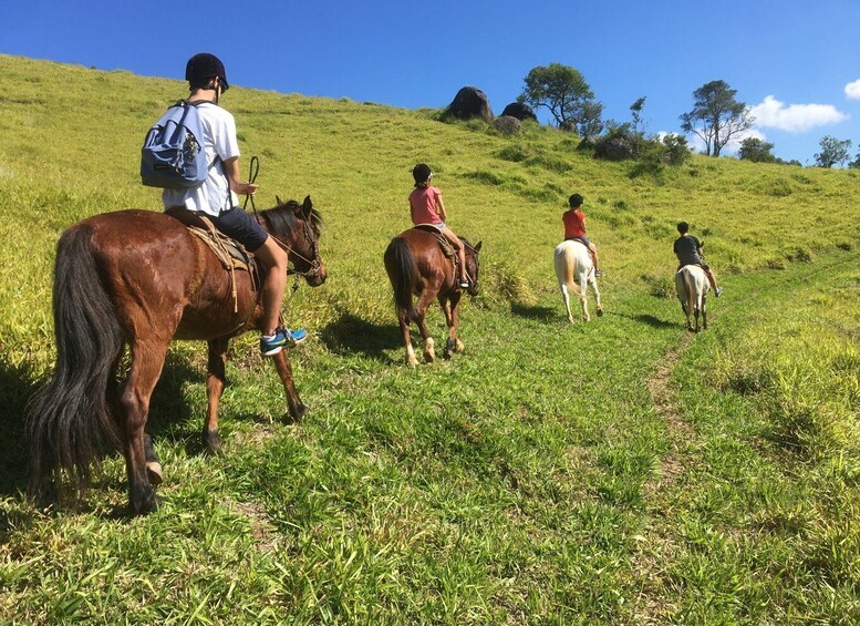 Picture 2 for Activity From Paraty: Private Horse-Riding Experience, Picnic, Driver